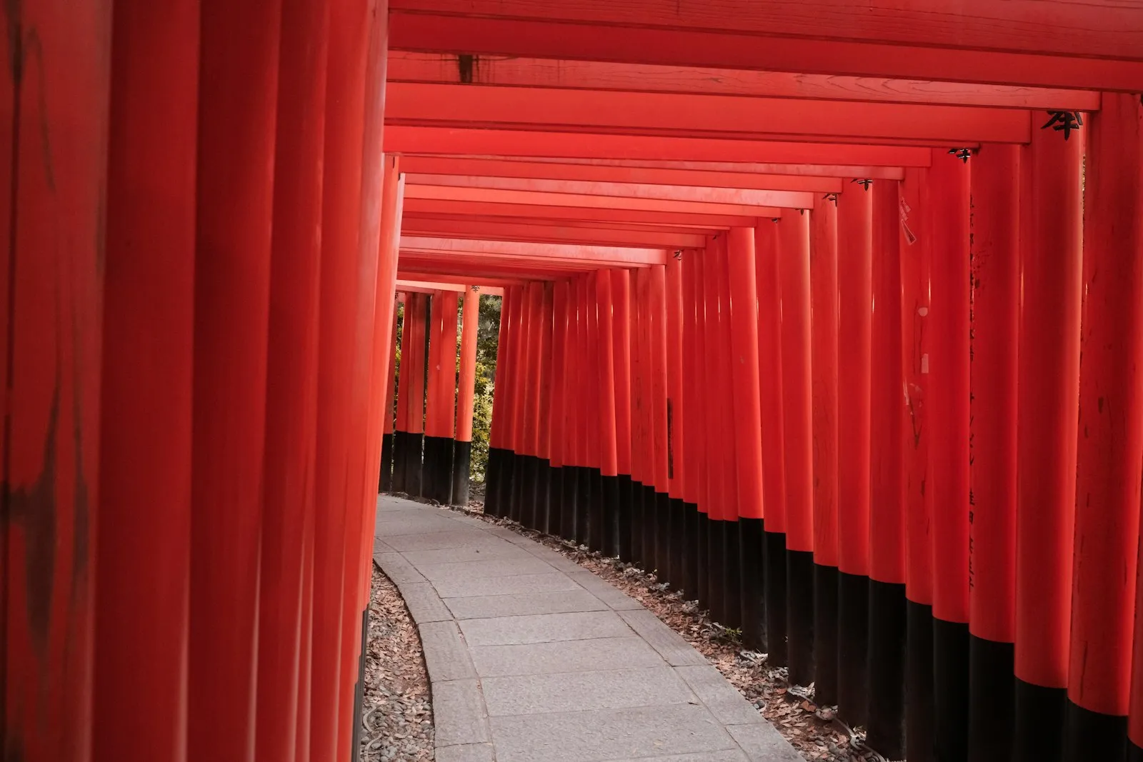 Corridor of vermillion torii gates stretching into the distance at Fushimi Inari shrine in Kyoto