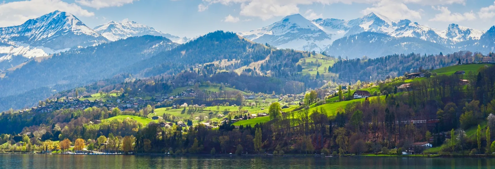 Snow-covered Swiss Alps above green villages viewed from Lake Thun, Switzerland
