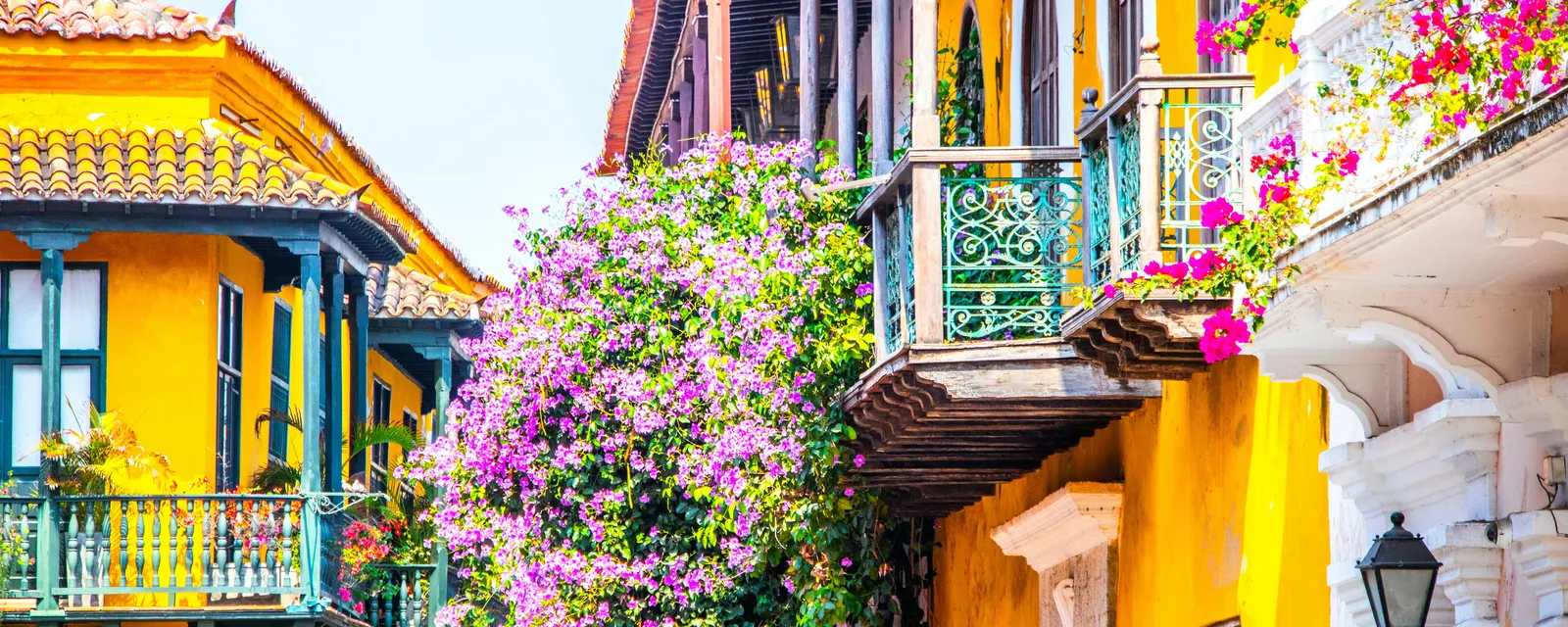 Bright yellow colonial buildings, green balconies and pink bougainvillea in Cartagena, Colombia