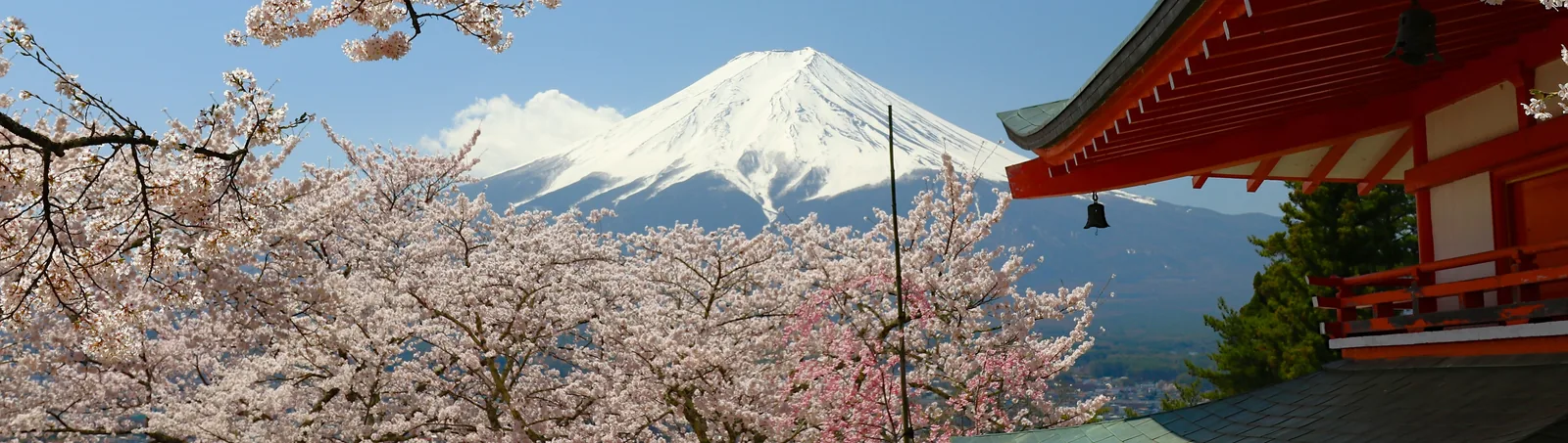 Snow-capped Mount Fuji framed by cherry blossoms and Chureito Pagoda, Japan