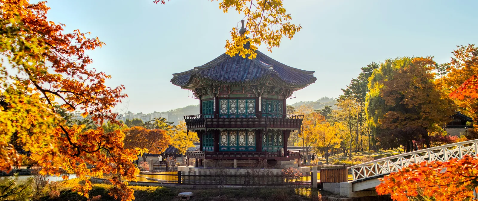 Gyeongbokgung's Hyangwonjeong pavilion framed by golden and orange autumn leaves in Seoul