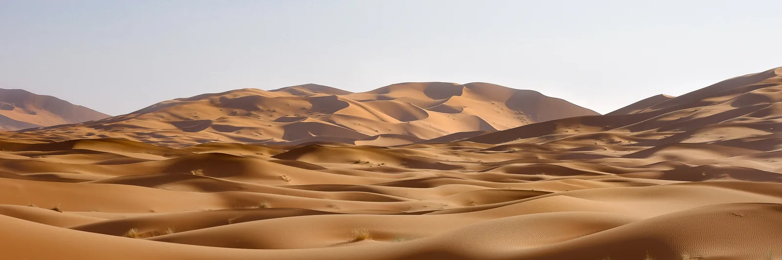 Golden Sahara sand dunes near Merzouga in Morocco
