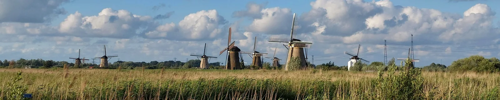 Historic Kinderdijk windmills across sunlit reed fields in the Netherlands