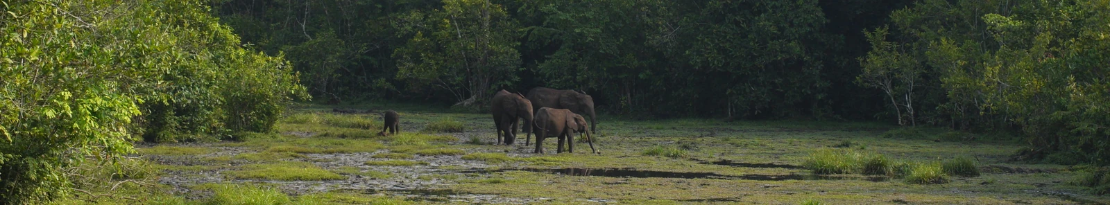Congo destination photography