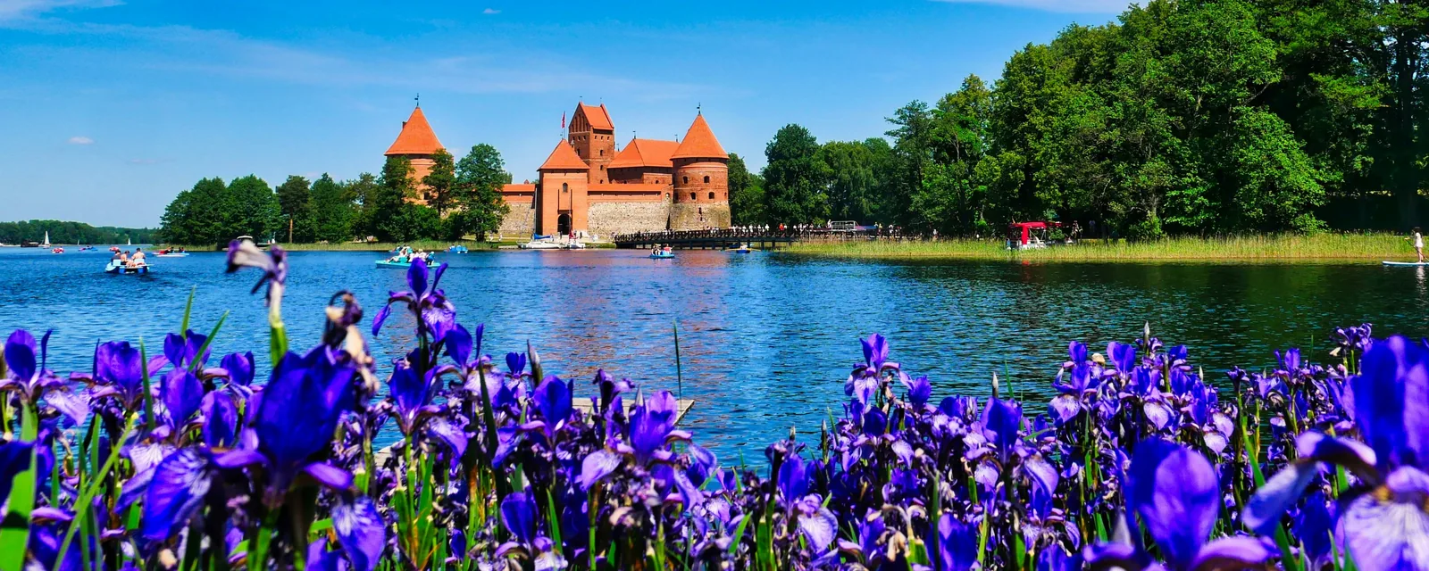 Trakai Island Castle across blue lake water, framed by purple irises in Lithuania