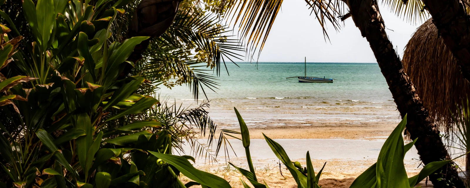 A boat on turquoise water framed by tropical palms at Benguerra Island, Mozambique