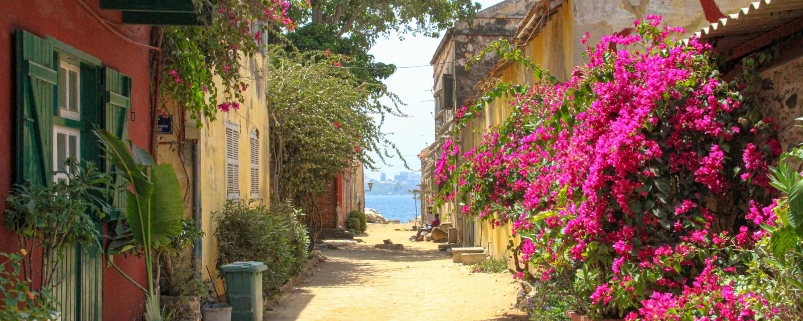 Colorful houses and flowering bougainvillea along a lane on Île de Gorée, Senegal