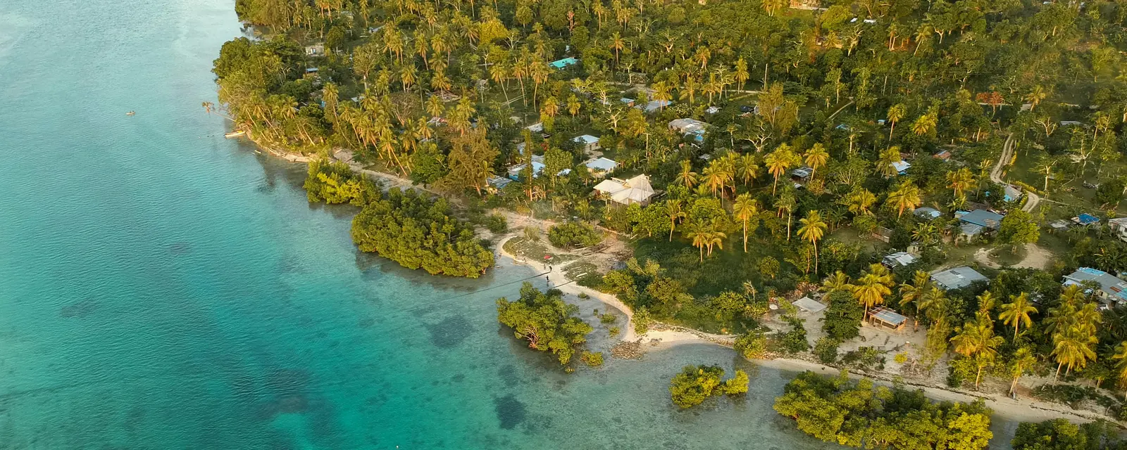 Vanuatu coastline with coconut palms above clear turquoise shallows
