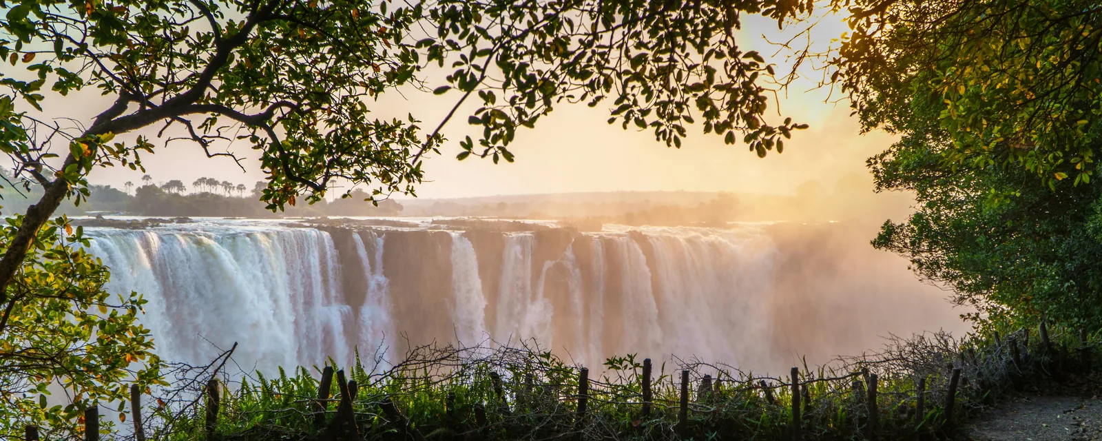 Sunset light on Victoria Falls framed by green trees in Zimbabwe