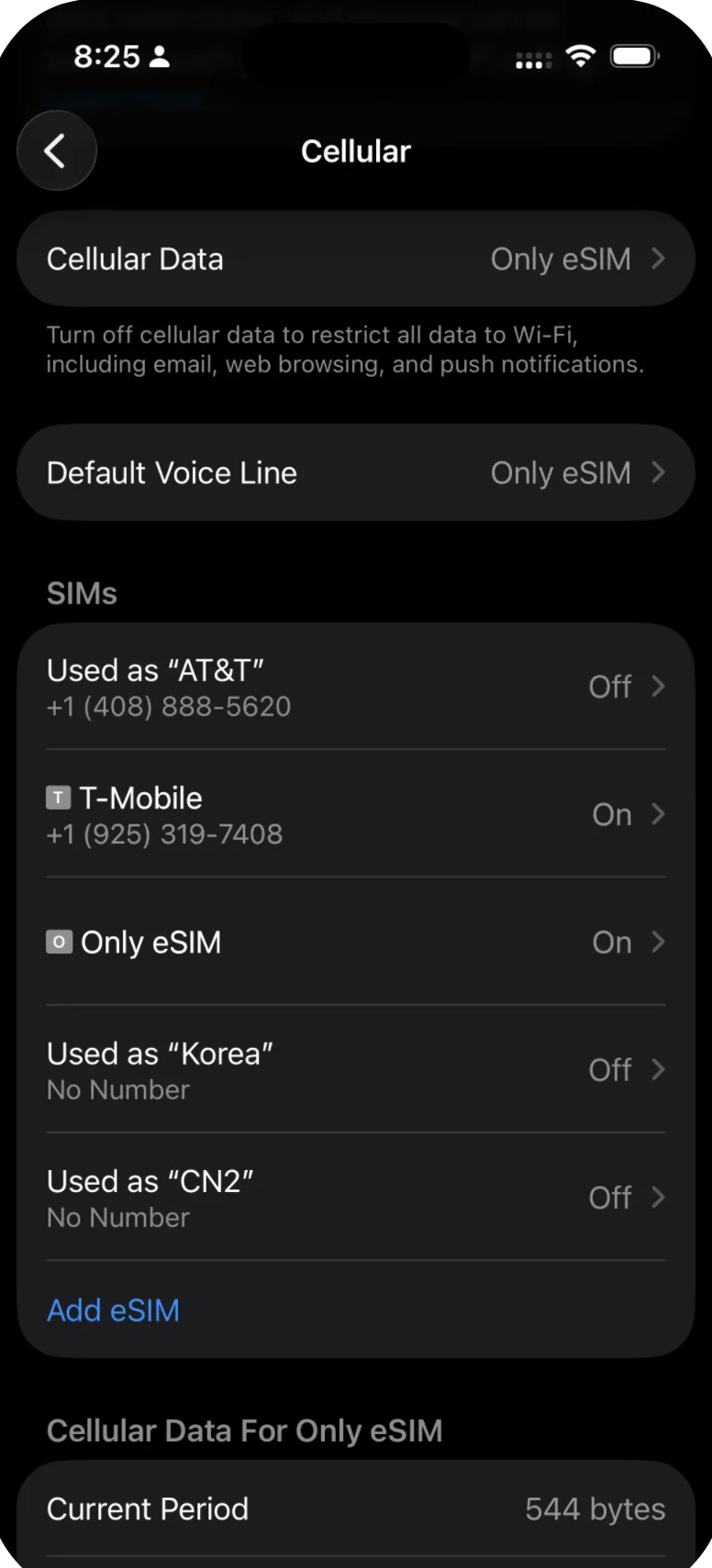 iPhone Cellular settings showing Only eSIM selected as the active Cellular Data line