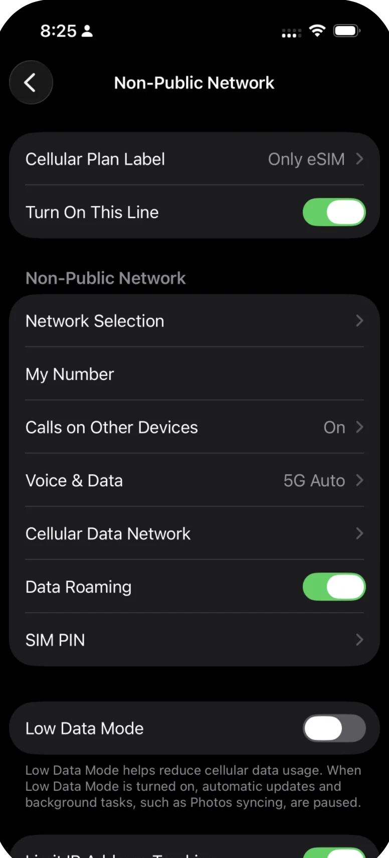 iPhone eSIM detail page with Data Roaming toggled ON — the switch is green